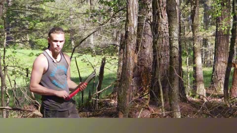 🌲 Tree Felling 101: Do It Like a Pro!