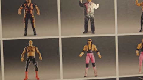 My new WWE Collectables have arrived