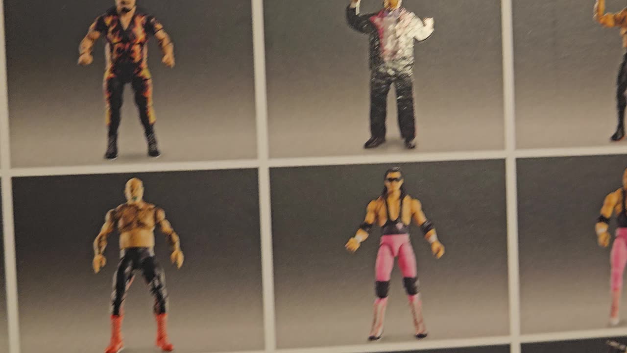 My new WWE Collectables have arrived