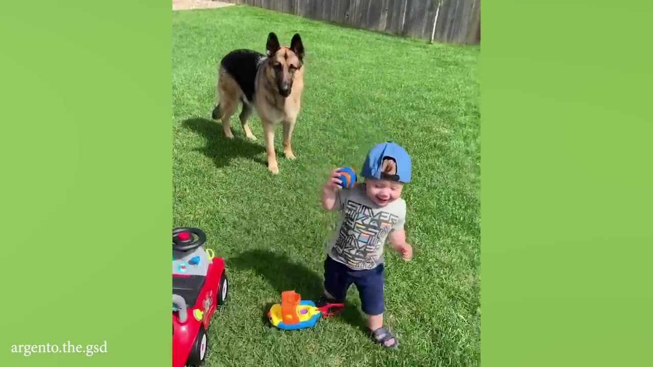 When your dog sees you as their whole world❤️