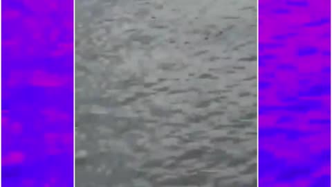 Patna on Ganga Path: New Car Plunges Into River After Driver Presses Accelerator Instead of Brake