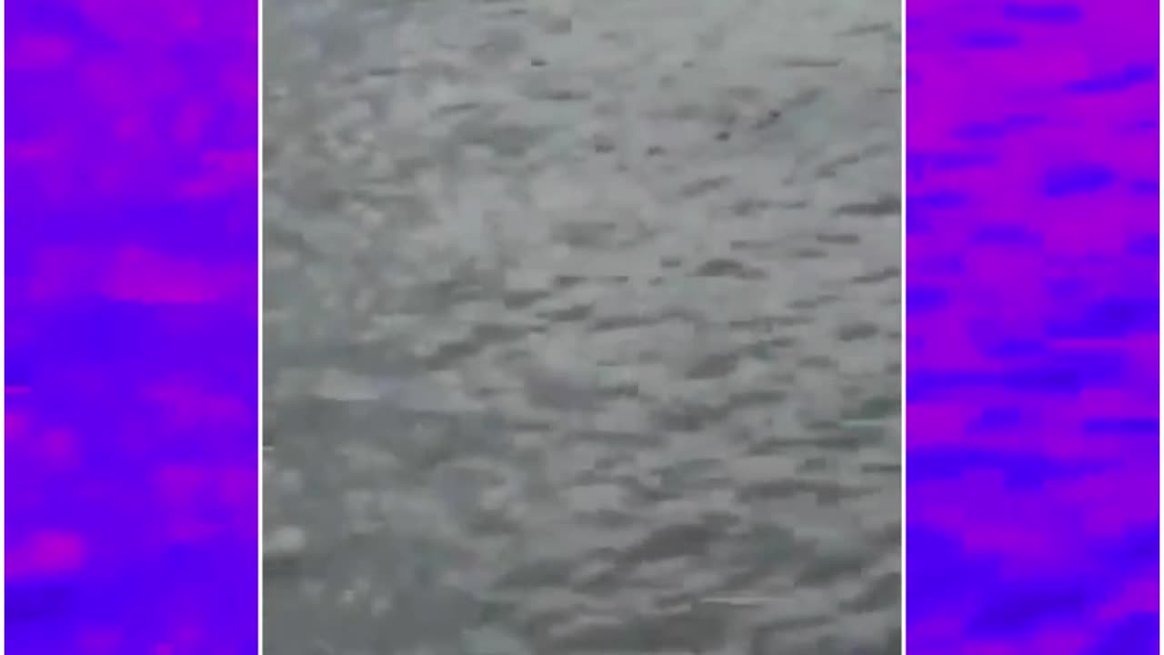 Patna on Ganga Path: New Car Plunges Into River After Driver Presses Accelerator Instead of Brake