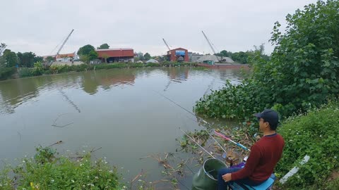 The Joy of Catching Carp in a Hidden Lake