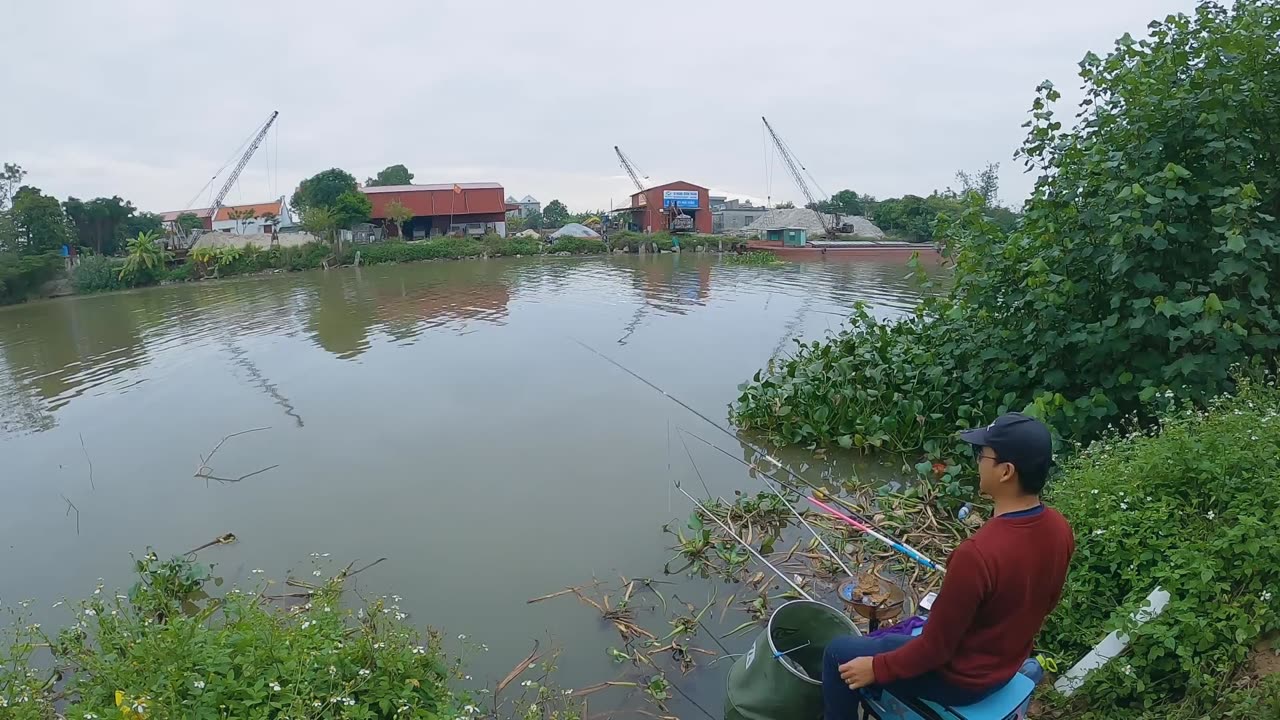 The Joy of Catching Carp in a Hidden Lake