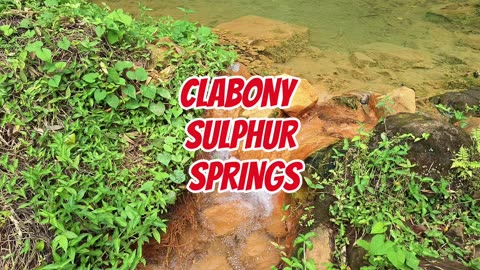 Clabony Sulphur Springs in Grenada