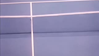 Tennis at it's finest