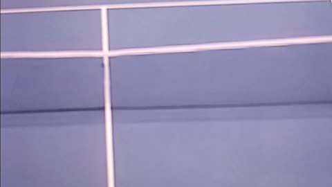 Tennis at it's finest