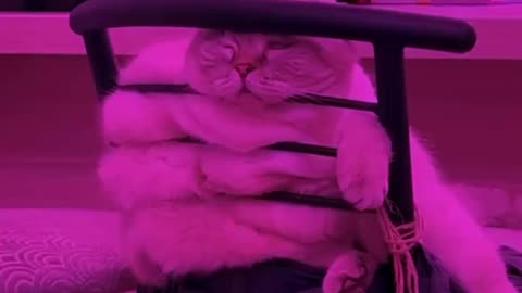 The downside of hitting the sauce too early