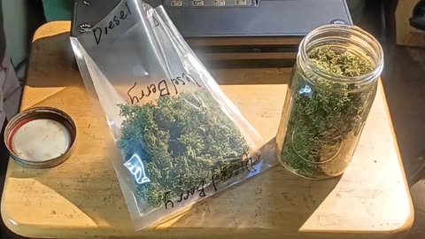 Final Weight of the Season 3 Harvest