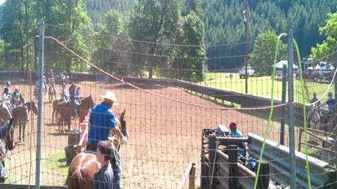 Yoncalla Calf Roping Event