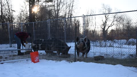 Breakfast on this chilly morning
