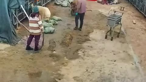 THE BOSS CAME FOR THE RESCUE.