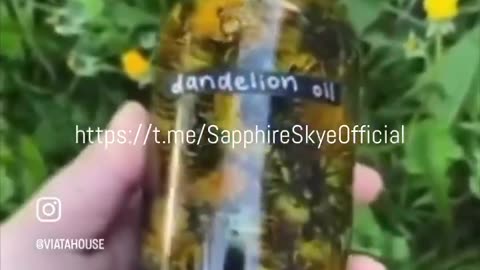 DIY HOME MADE DANDELION OIL