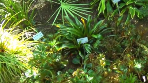 Gruningen Botanical Garden Zurich Switzerland Tour