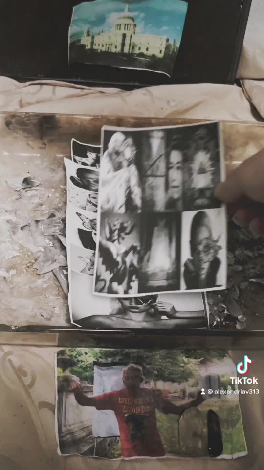 Tim Rifat TikTok Videos