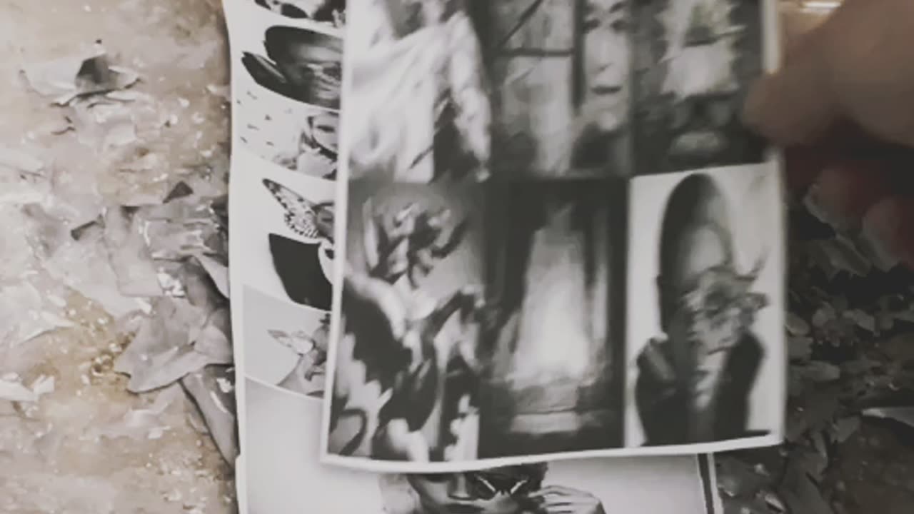 Tim Rifat TikTok Videos