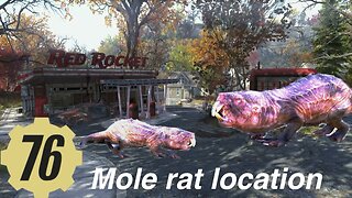 Fallout 76 mole rat location.