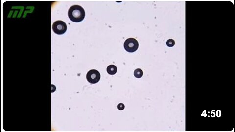 Optical microscope analysis of the measles, mumps, and rubella vaccine, with an expiration date of 2026
