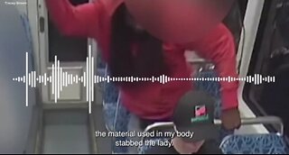 Decarlos Brown Blames Material In His Body For Stabbing Iryna Zarutska