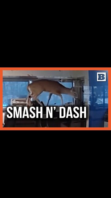 Big Buck Deposit Goes Sideways at Bank