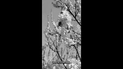 you know what the sadest thing is