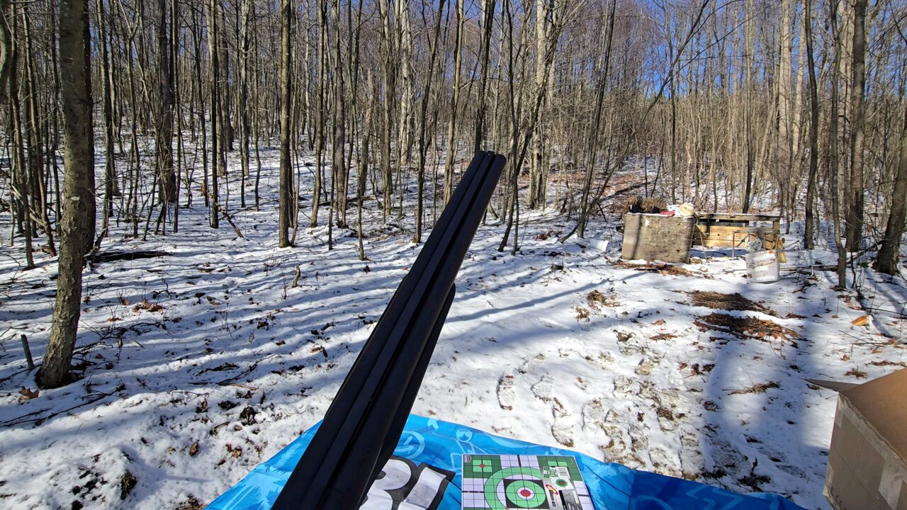 Cheap but good 12 Gauge side by side