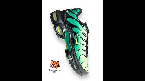 Nike Air Max Plus Sneakers 👟 SURDASHERY.com