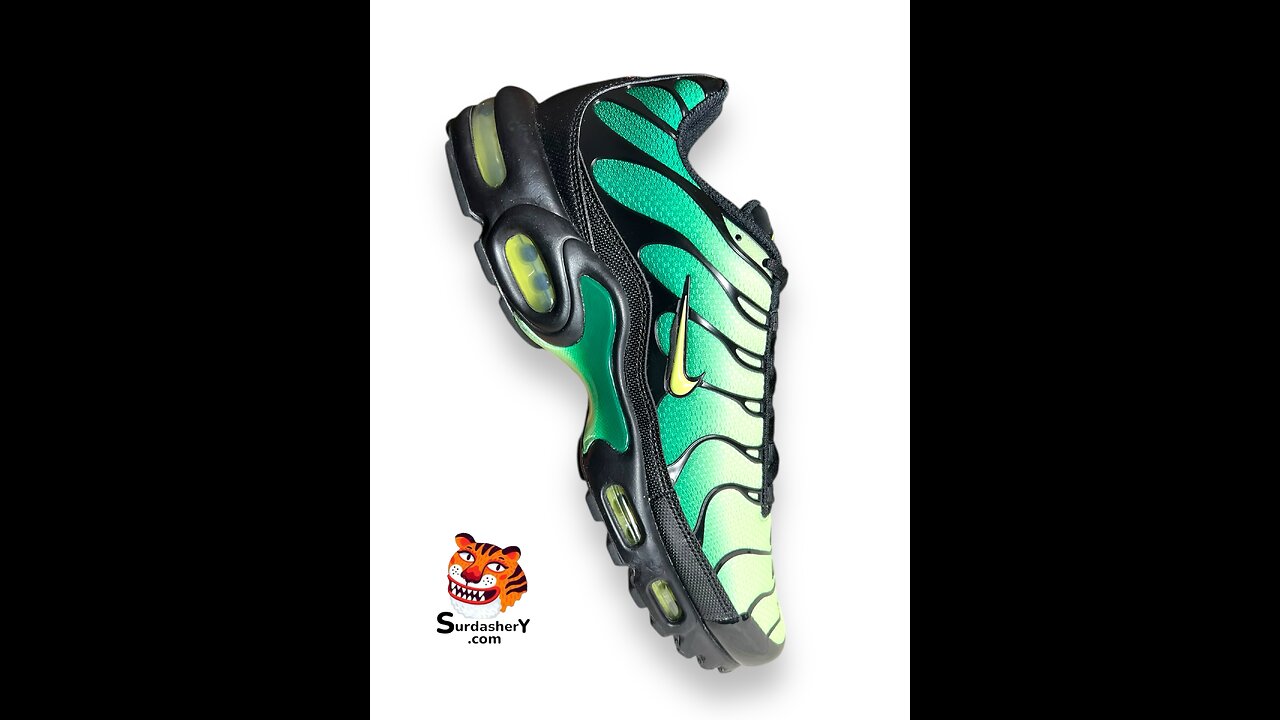 Nike Air Max Plus Sneakers 👟 SURDASHERY.com