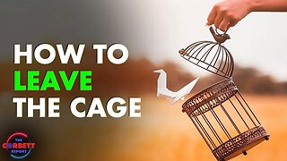 How to Leave the Cage - #SolutionsWatch