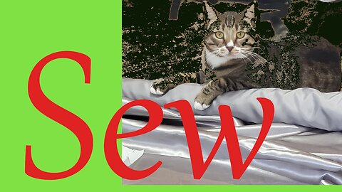 Sew Sunday || Stitch & B*