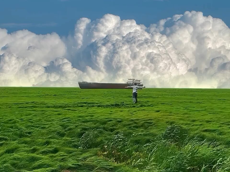 nature video 🥰🌹