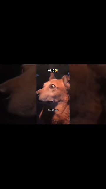 Wait A Minute #shorts