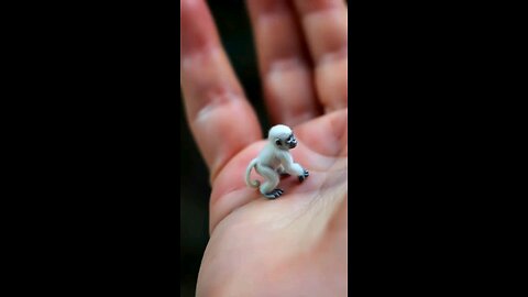 Gorilla Cute