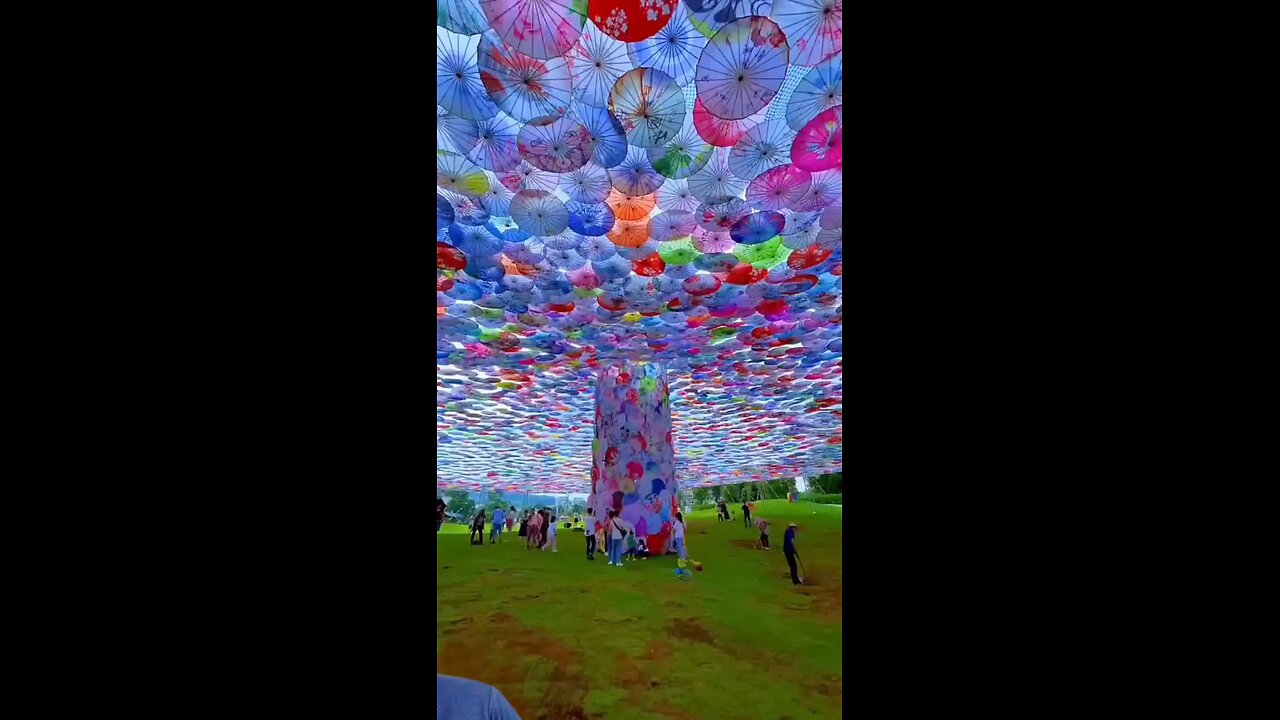 beautiful environment