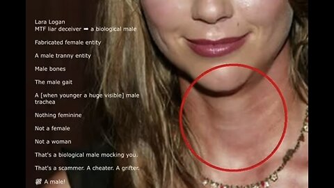 IS LARA LOGAN A TRANNY GRIFTER ?