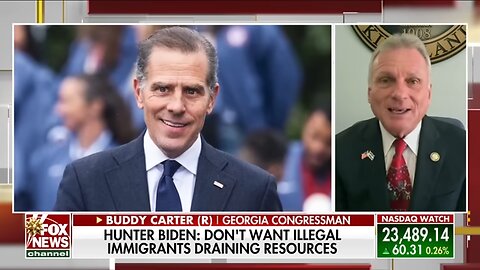 Hunter Biden makes 'UNBELIEVABLE' admission: 'Voice of sanity'