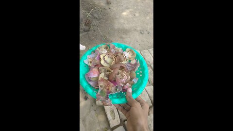 goat food health vedio