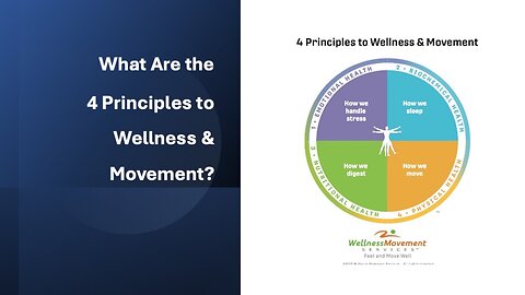 What are The 4 Principles to Wellness & Movement?