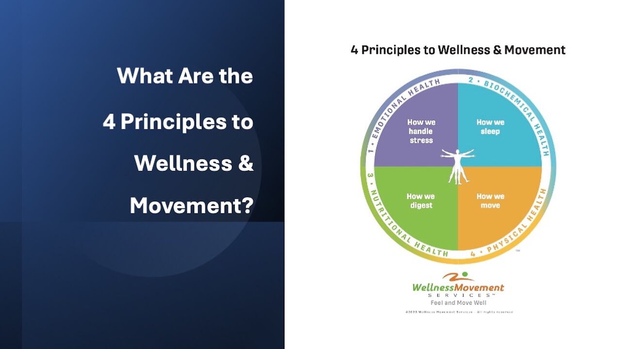 What are The 4 Principles to Wellness & Movement?