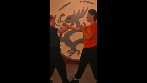Wing Chun Den Haag 👉 wudae.com 👉 Body & Mind Connection 💥 Kung Fu 💥 Free Trial class