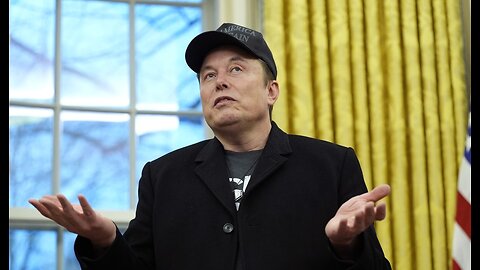 Trump Advisor Navarro Laughs Off Supposed 'Feud' With Elon Musk
