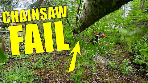 Everything Looked Safe… Until the Tree Spun Out of Control