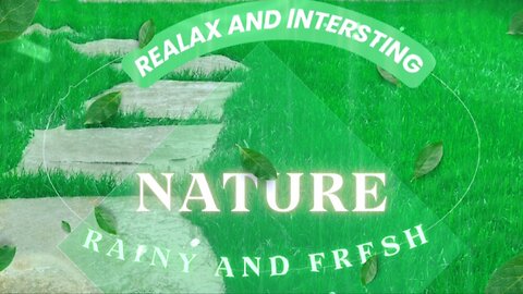 Rainy Nature Walk: Where Grass Meets Water & Calm Begins