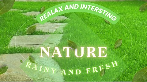 Rainy Nature Walk: Where Grass Meets Water & Calm Begins