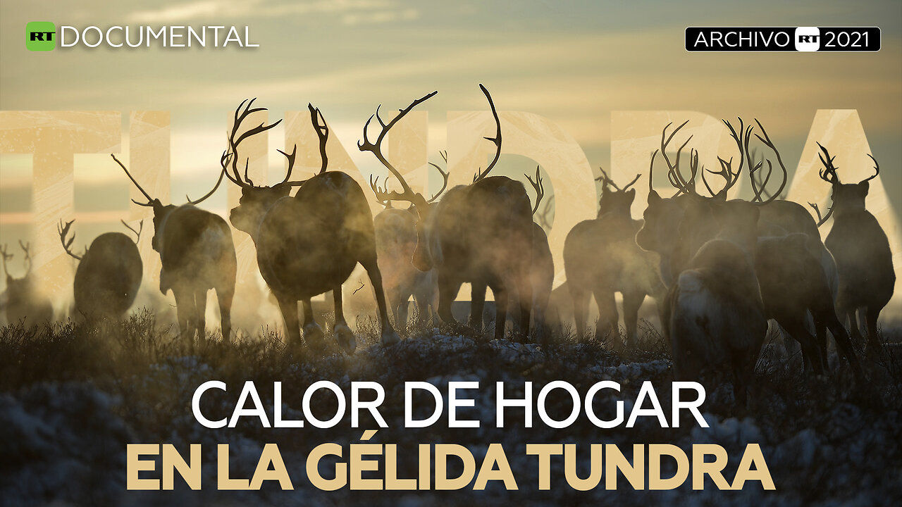 Calor de hogar en la gélida tundra - Documental RT (Archivo RT 2021)