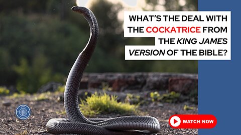 What's the deal with the cockatrice from the King James Version of the Bible?