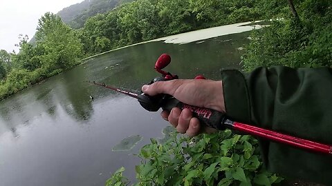 #ftb "From The Bank #2 - Still Biggun's in the Swamp " feat : JAB Custom Squarebill