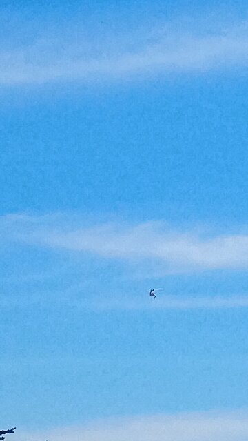 draccopter buzzing humans