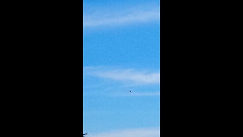 draccopter buzzing humans