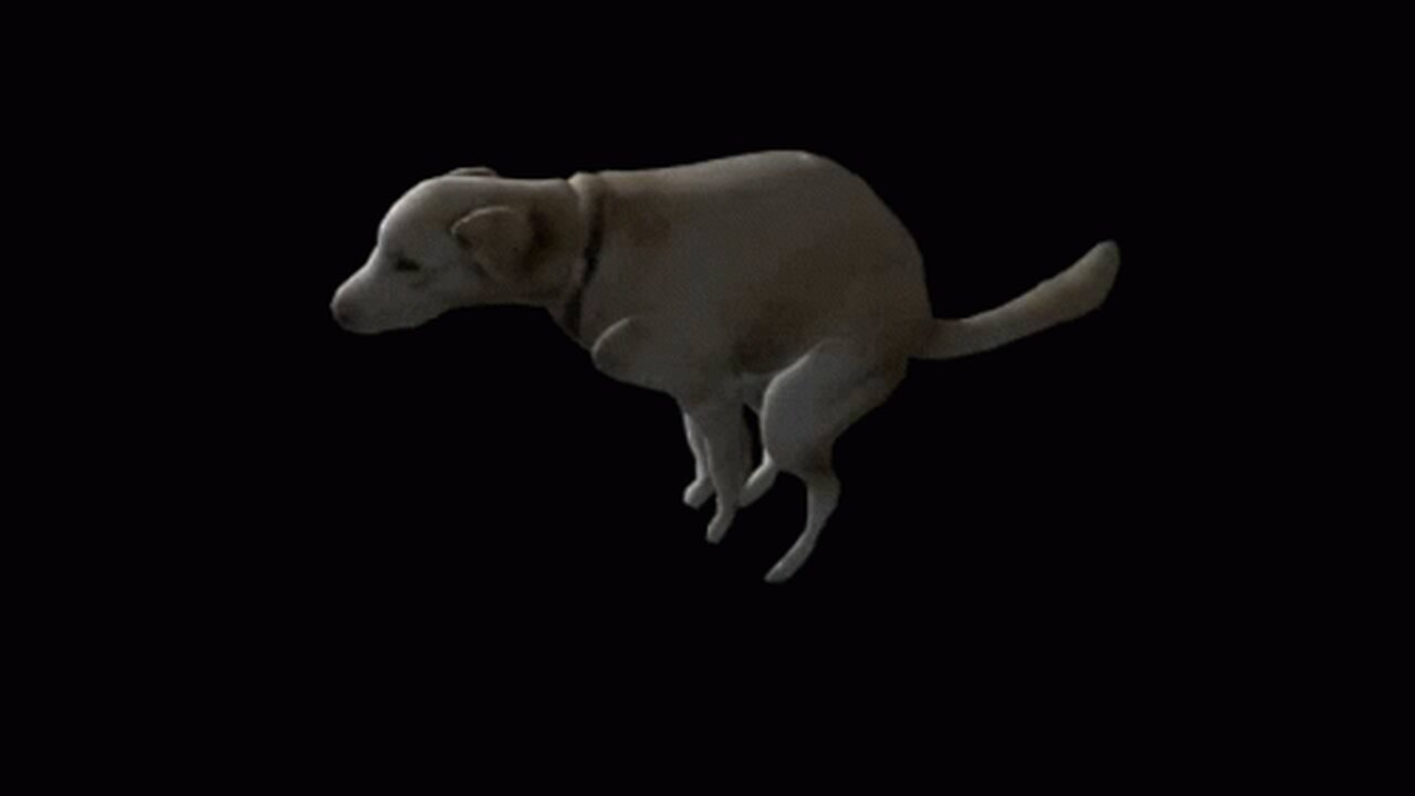 Woop Woop